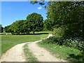 Footpath approaching Stow Coppice in RH9 8EJ