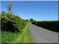 Farm road (footpath) to Kelloe Law in TS29 6BF