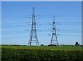 Pylons near Galley Law Farm in TS21 4BB
