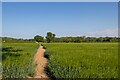 Footpath through arable land, Butt's Green in CM3 4AJ