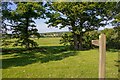 Footpath to Butt's Green, Howe Green in CM2 7TT