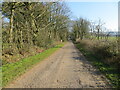 Tree-line track and footpath to Leesrigg Farm in Allhallows