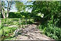 Monk's Lane Crossing the Black Brook in CO7 6DP