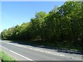 Foxhole Wood beside the A181 in Wheatley Hill