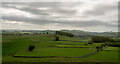 Farm land and stone walls, from Narrowdale Hill in DE6 2FT