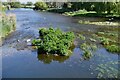 Spetisbury: The River Stour from Crawford Bridge in DT11 9EF