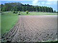 Ploughed field north of Greenlands in RG9 3AS