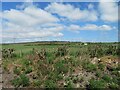 Roadside and farmland near Kelty in KY12 0SW