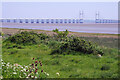 Severn Estuary near Rogiet in Rogiet Community