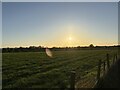 View over field in Whitley