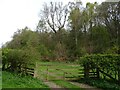 Gated farm track and woodland near Hamley in YO62 6TG