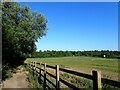 Footpath parallel to the A25 in RH8 9NE