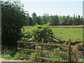Farmland south of Benarty Road in KY4 0JS