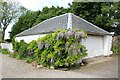 Wisteria on the garage, Shrubhill in FK15 9PD