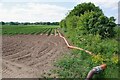 Potato Field by Morrow lane in CO7 7LX
