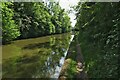 Grand Union Canal cutting through woodland in CV35 7AB