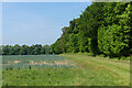 Farmland and woodland edge, Hungerford in RG17 0QA