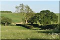 Fields and footpath below Coneygrey Farm in DE5 3RR