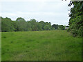 Field west of Beenham church in RG7 5NF