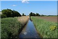 Drainage Ditch beside Whittlesey Road in PE15 0YY