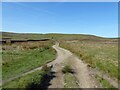 Pennine Way by enclosed fields in BD22 0HR