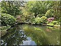 St Mawgan - Japanese Garden - Pond (Southwestern end) in TR8 4EU