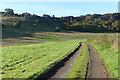 Track and farmland, Fosbury in SP11 9EX