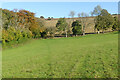 Pasture, Chute in SP11 9EW