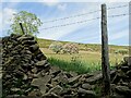 Broken wall by Ruin Edge Lane in S33 6RA