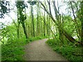 Path on former railway route in LS29 7FA