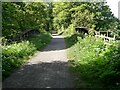 Bridge on the Lanchester Valley Railway Path in DH7 9TL