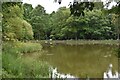 The fish pond at Market Bosworth Country Park in CV13 0LW