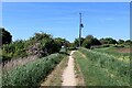 Bridleway South of Eastrea in PE7 2AZ