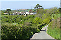 Lane approaching Trelill, St Kew in PL30 3DY