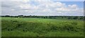 Fields west of Peasmarsh, from the railway in GU3 1JR