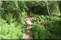 Boardwalk and Steps, Milton Wood in GU7 2QQ