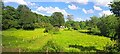 Fields north of Prey Heath, Worplesdon in GU22 0SP