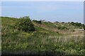 Flanks of a Disused Tip near Peterborough in PE1 5YX
