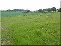 View from Nairdwood Lane towards the Misbourne Valley in HP16 0HH