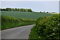 Milton Abbas: Bend in the road in DT11 0DP
