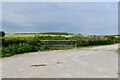 Milborne St Andrew: Farm track and public footpath in DT11 0JA