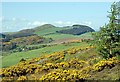 View westwards from Black Craig in KY15 4PA