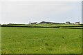 Hinton St Mary: Fields used for grazing cattle in DT10 2HA