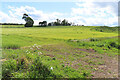 Field near Carringron in EH23 4LR