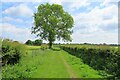 Green lane and footpath in HR6 9PU