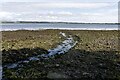 Mouth of a burn entering Montrose Basin at Rossie Mills, Angus in DD10 9TJ