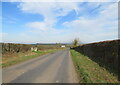 Hedge-lined road between Dryrigg and Woodrow in CA7 8PW