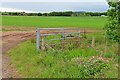 Field Gate at Fiddes in AB30 1LN