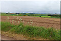 Plouughed Land at Thriepland in AB30 1LN