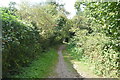 Footpath to Shallem Wood in TN16 2JA